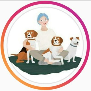 Telegram Channel logo voproslavgav. Free Telegram Channel Analytics