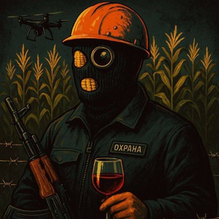 Логотип Телеграм канала . Бесплатная аналитика Telegram каналов