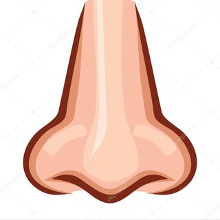 Логотип Телеграм канала понюхали !. Бесплатная аналитика Telegram каналов