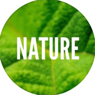 Логотип Телеграм канала Nature 🌏. Бесплатная аналитика Telegram каналов