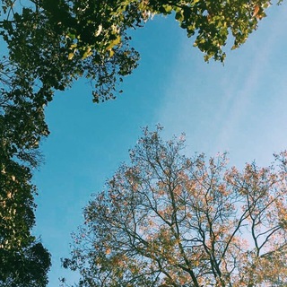 Логотип Телеграм канала . Бесплатная аналитика Telegram каналов