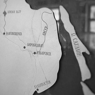 Telegram Channel logo livebir_not. Free Telegram Channel Analytics