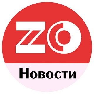 Telegram Channel logo ZOnovosti28. Free Telegram Channel Analytics
