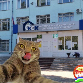 Логотип Телеграм канала . Бесплатная аналитика Telegram каналов