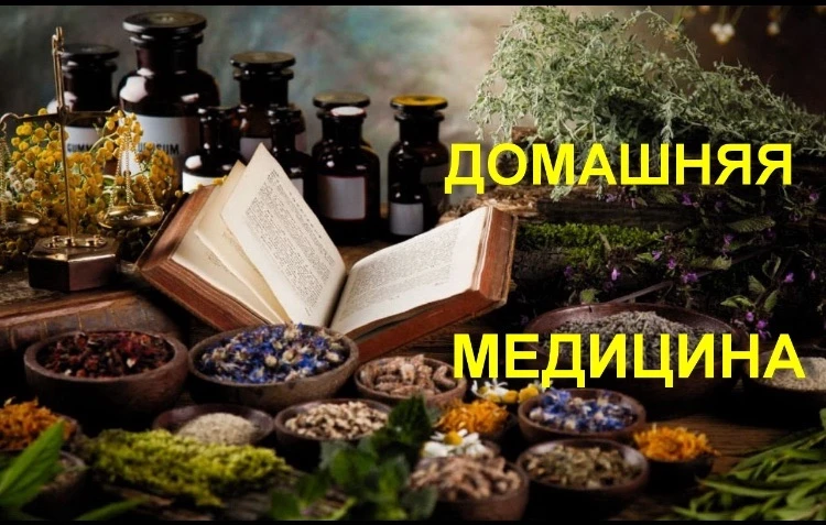 Telegram Channel logo club216097326. Free Telegram Channel Analytics