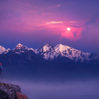 Telegram Channel logo topnature. Free Telegram Channel Analytics