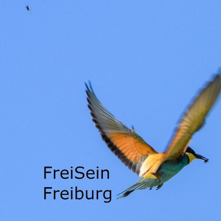 Telegram Channel logo FreiSeinFreiburg Infokanal. Free Telegram Channel Analytics