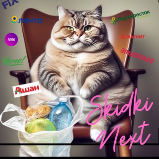 Telegram Channel logo skidki_next. Free Telegram Channel Analytics
