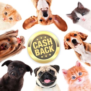 Telegram Channel logo +P5nds02rX_83NTYy. Free Telegram Channel Analytics