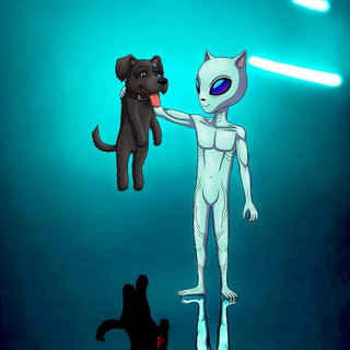 Telegram Channel logo . Free Telegram Channel Analytics