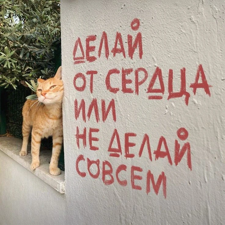 Логотип Телеграм канала izynfguu9ooqyuz1towukgtpp8fqmtldakphsgmrotm. Бесплатная аналитика Telegram каналов