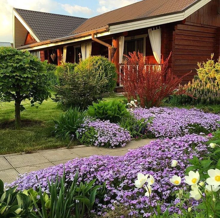 Telegram Channel logo sad5858. Free Telegram Channel Analytics