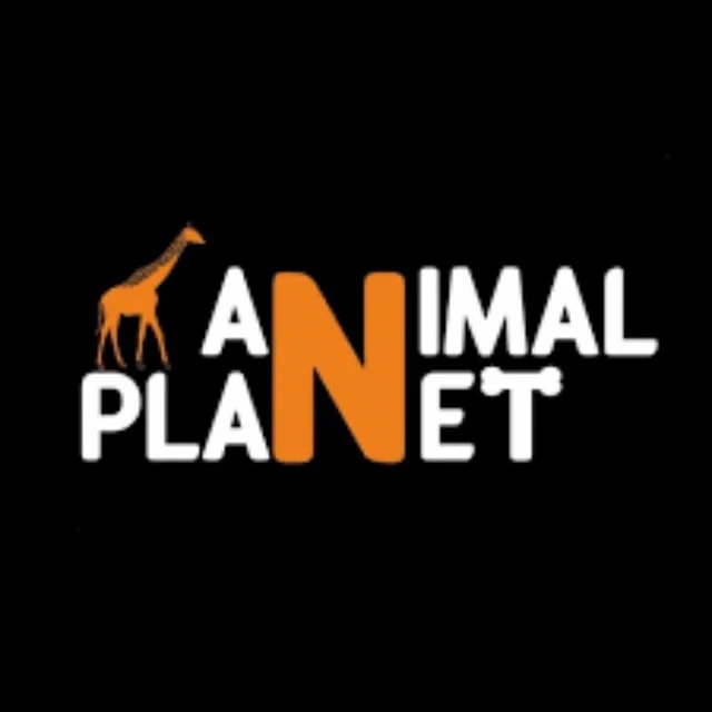 Telegram Channel logo animal_p1anet. Free Telegram Channel Analytics