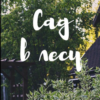 Логотип Телеграм канала dachnye_istory. Бесплатная аналитика Telegram каналов