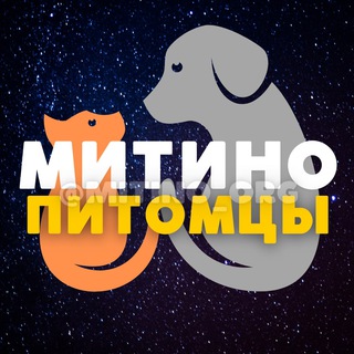 Telegram Channel logo pets_mitino. Free Telegram Channel Analytics