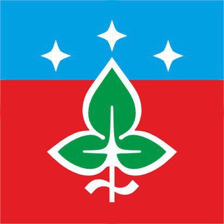 Логотип Телеграм канала propush. Бесплатная аналитика Telegram каналов