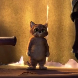 Логотип Телеграм канала kotanmem. Бесплатная аналитика Telegram каналов