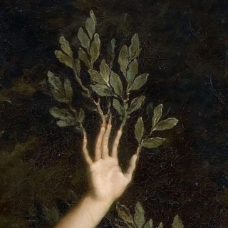 Telegram Channel logo aestheticsecho. Free Telegram Channel Analytics