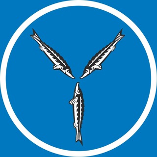 Telegram Channel logo +qU7XHPfpmlJlZjBi. Free Telegram Channel Analytics