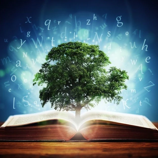 Логотип Телеграм канала mudr_str. Бесплатная аналитика Telegram каналов