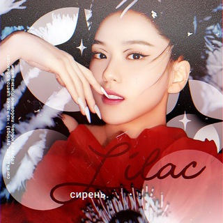 Логотип Телеграм канала . Бесплатная аналитика Telegram каналов