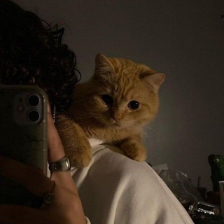 Логотип Телеграм канала yourpeace0. Бесплатная аналитика Telegram каналов