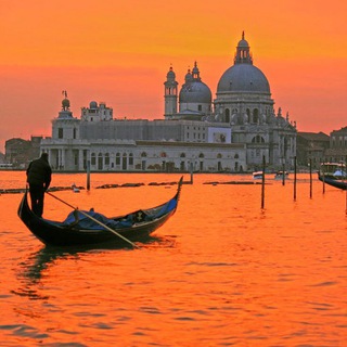 Telegram Channel logo fondamenta_incurabili. Free Telegram Channel Analytics