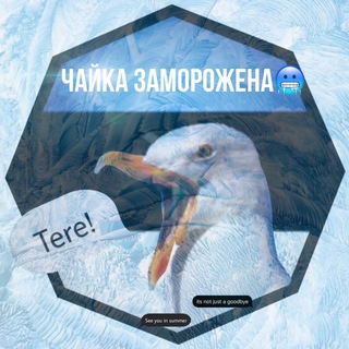 Логотип Телеграм канала Чайка из Таллина🇪🇪. Бесплатная аналитика Telegram каналов