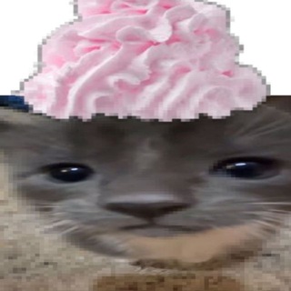 Логотип Телеграм канала . Бесплатная аналитика Telegram каналов