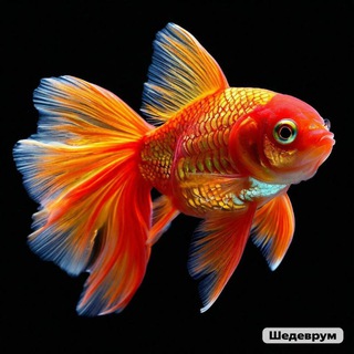 Telegram Channel logo +422XPz0wElEzMTcy. Free Telegram Channel Analytics