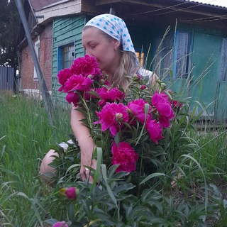 Логотип Телеграм канала . Бесплатная аналитика Telegram каналов