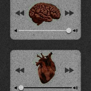 Telegram Channel logo 𝙼𝚈~𝙵𝙴𝙴𝙻𝙸𝙽𝙶𝚂. Free Telegram Channel Analytics