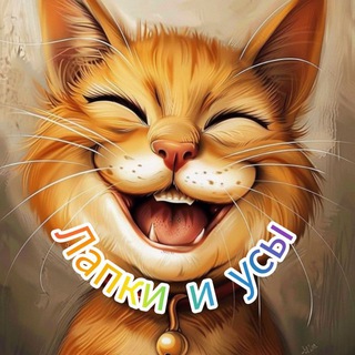 Логотип Телеграм канала . Бесплатная аналитика Telegram каналов