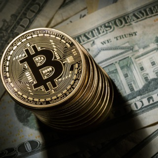 Логотип Телеграм канала . Бесплатная аналитика Telegram каналов