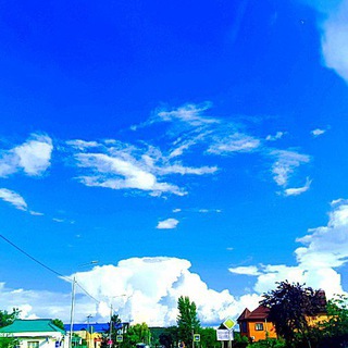 Telegram Channel logo gorklyuchnedvizhimoe. Free Telegram Channel Analytics