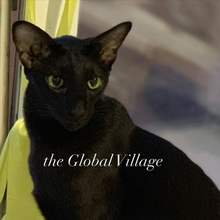 Логотип Телеграм канала The Village. Бесплатная аналитика Telegram каналов