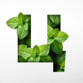 Логотип Телеграм канала . Бесплатная аналитика Telegram каналов