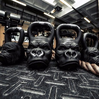 Telegram Channel logo sport_xxlpump1. Free Telegram Channel Analytics