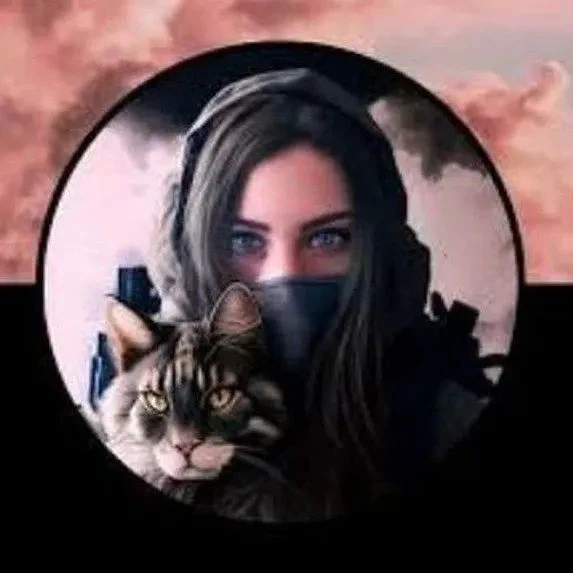 Telegram Channel logo dnrlnr24. Free Telegram Channel Analytics