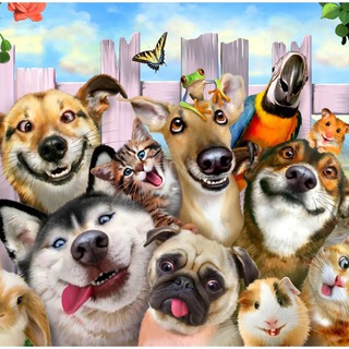 Telegram Channel logo +5gA2MBPAmtkyOTli. Free Telegram Channel Analytics