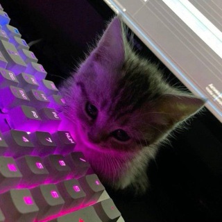 Telegram Channel logo +pOeYrm_TX40yYjU6. Free Telegram Channel Analytics