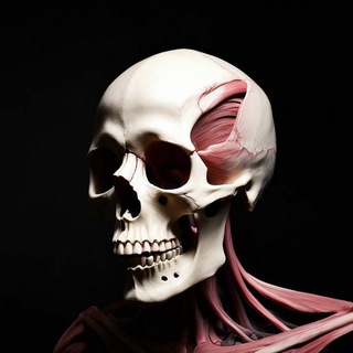 Telegram Channel logo +TqABN4MnAXY3ZTli. Free Telegram Channel Analytics