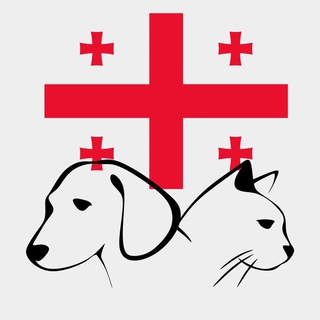 Telegram Channel logo georgia_pets. Free Telegram Channel Analytics