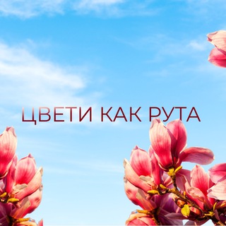 Telegram Channel logo anya_namore. Free Telegram Channel Analytics