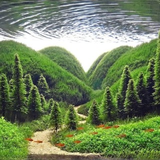 Логотип Телеграм канала AquariumLife. Бесплатная аналитика Telegram каналов