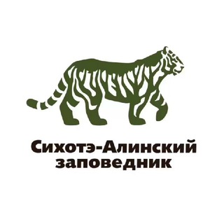 Логотип Телеграм канала . Бесплатная аналитика Telegram каналов