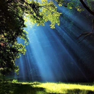 Telegram Channel logo Schul❤️‍🩹Trauma❤️‍🩹Kongress goes Future 📣👩‍🏫🎦. Free Telegram Channel Analytics