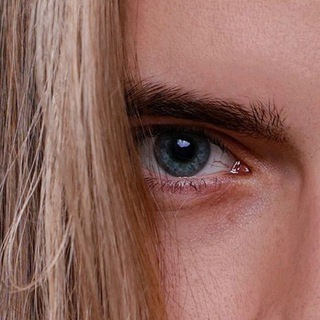 Логотип Телеграм канала . Бесплатная аналитика Telegram каналов