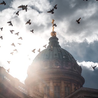 Telegram Channel logo piter_lives. Free Telegram Channel Analytics