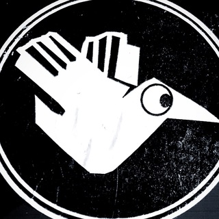 Логотип Телеграм канала Steven Divish. Бесплатная аналитика Telegram каналов